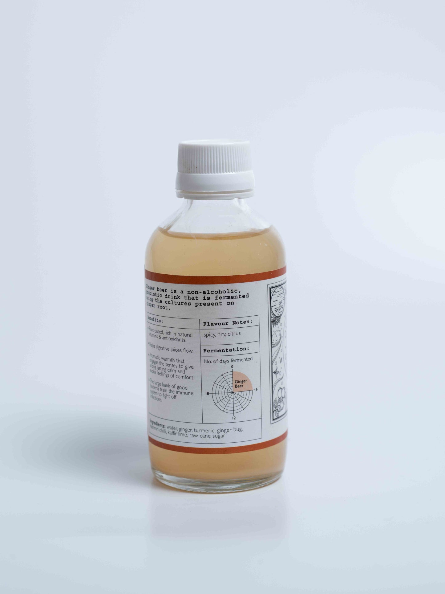 Ginger Beer - Spicy