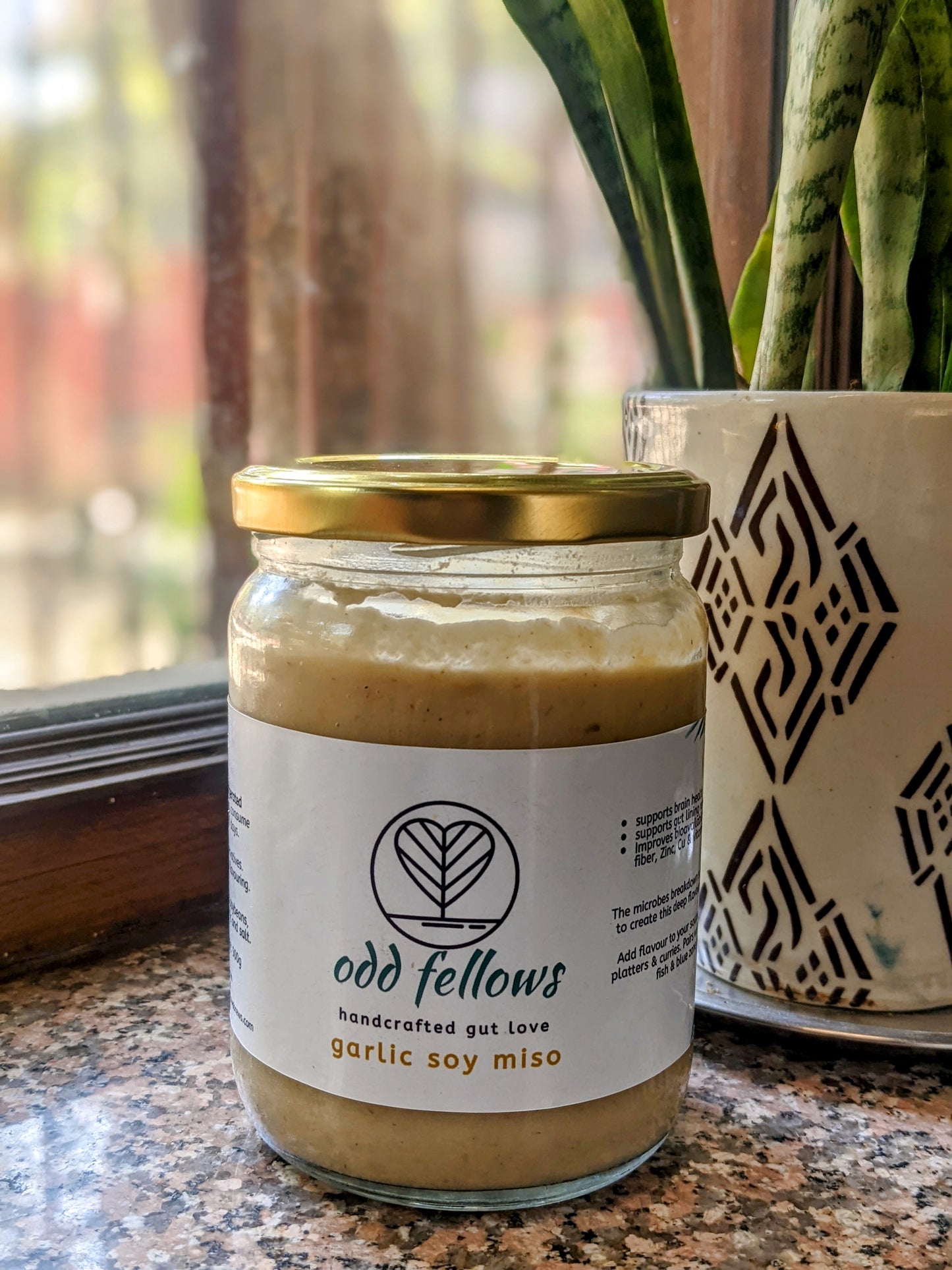 Garlic Miso Paste