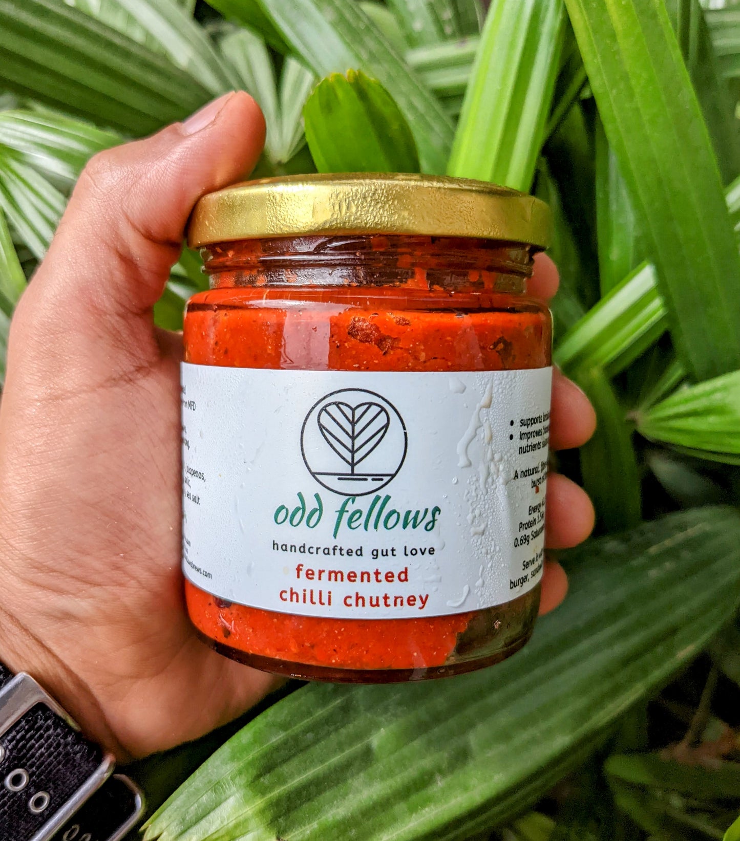 Fermented Chilli Chutney