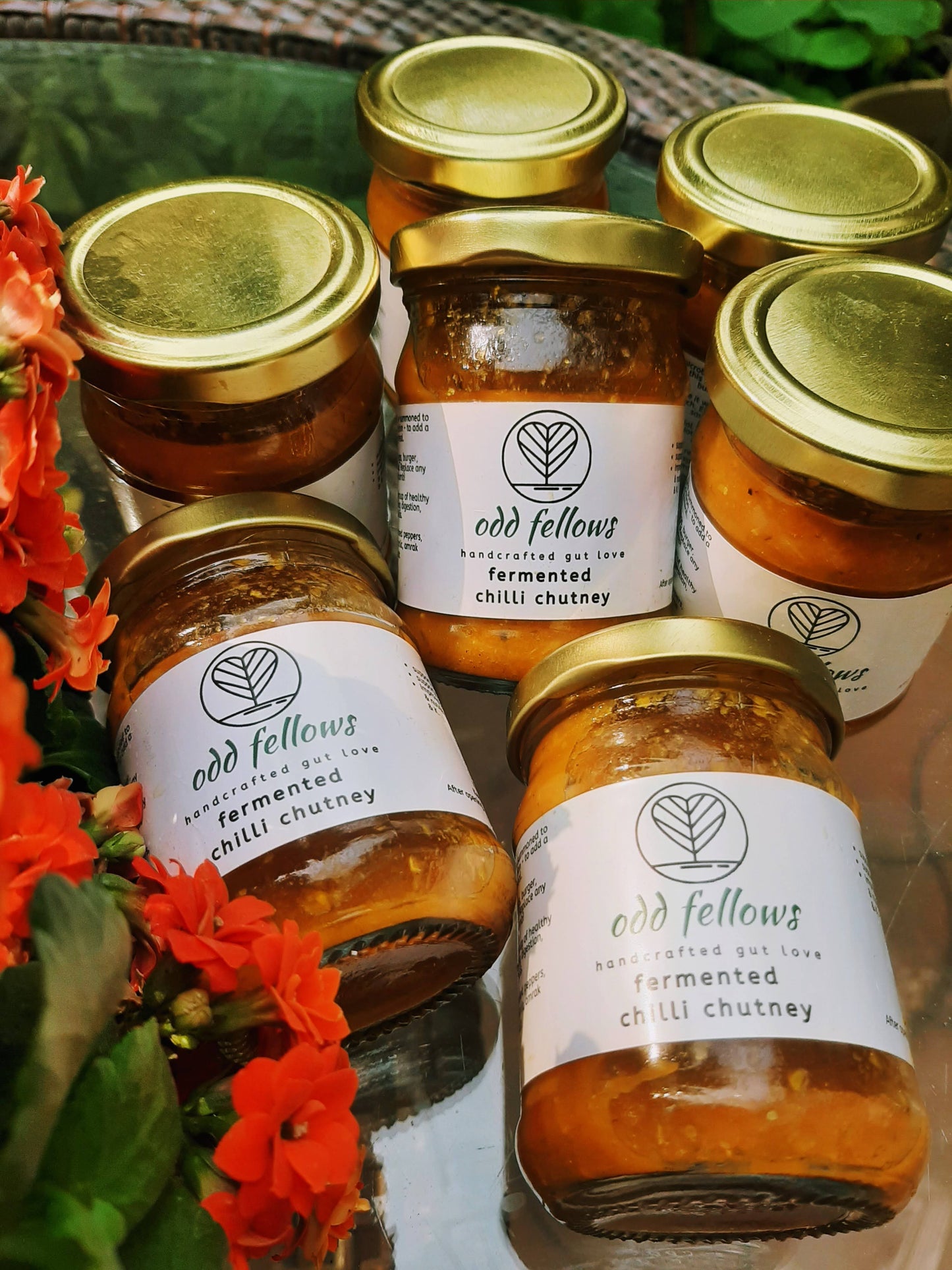 Fermented Chilli Chutney