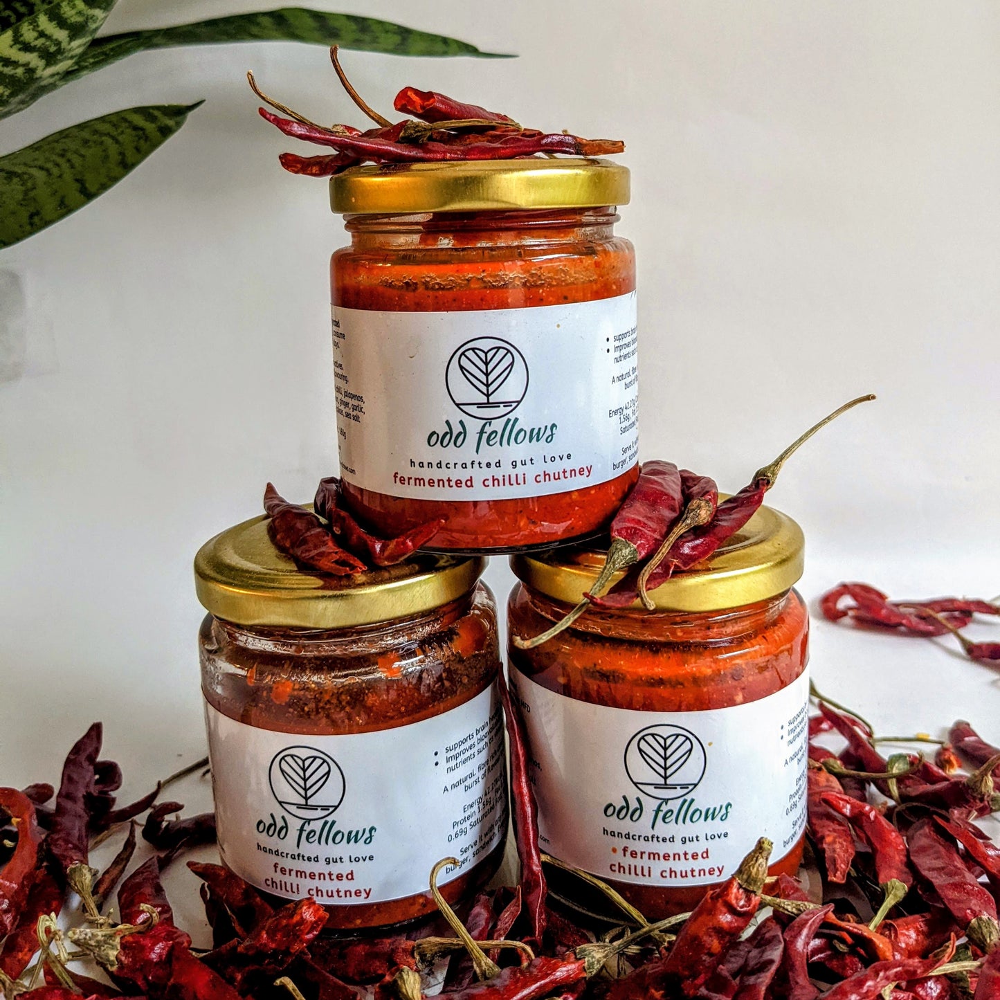 Fermented Chilli Chutney