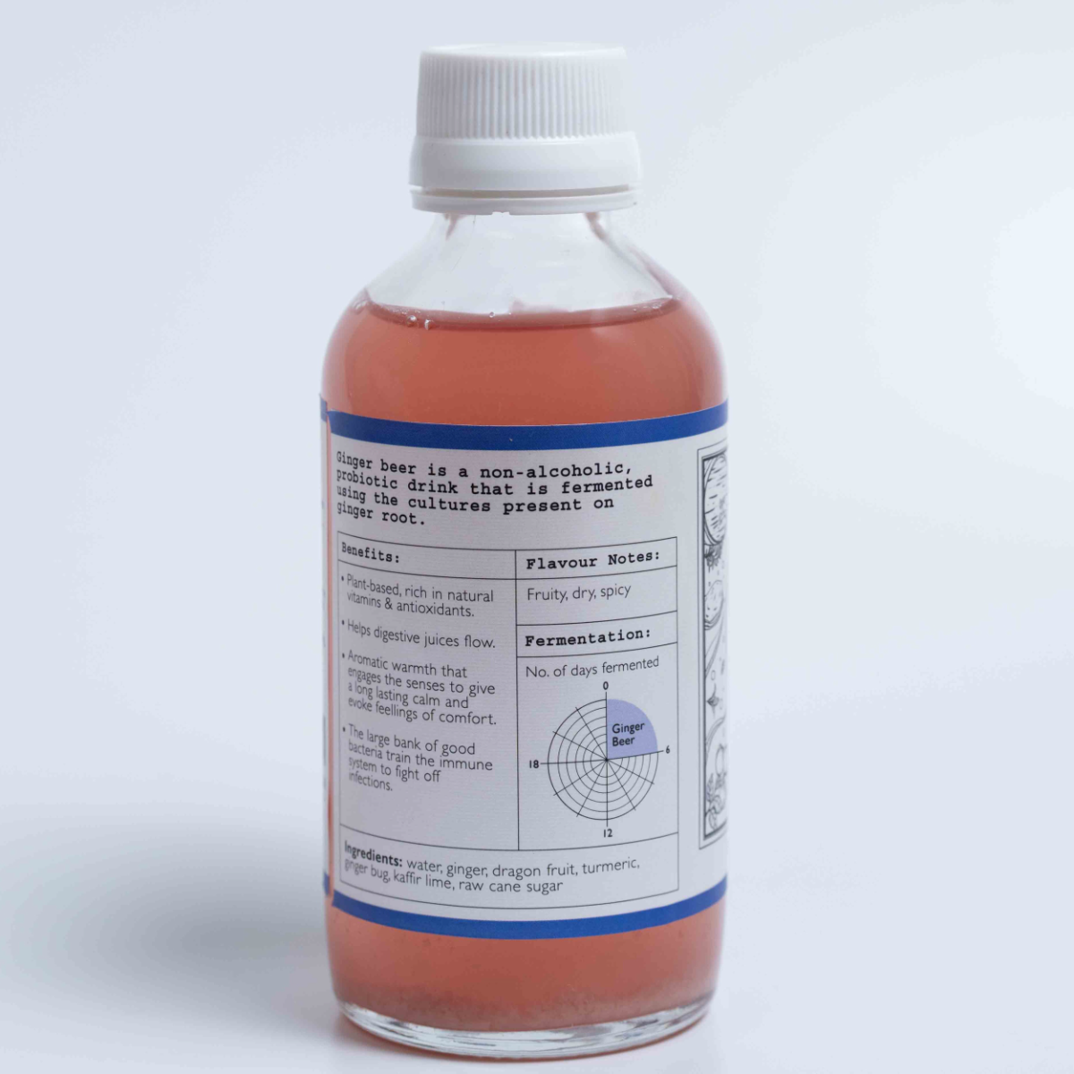 Dragon Fruit ODD FELLOWS Ginger Beer Benefits