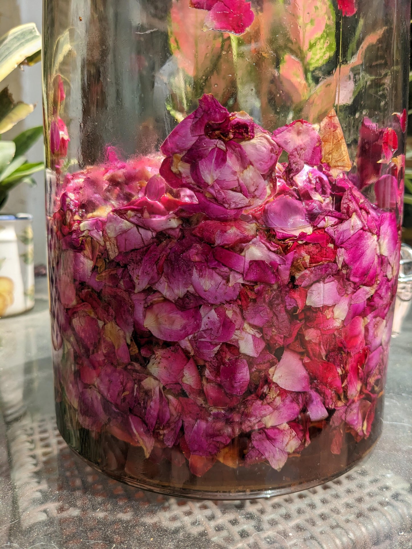 Rose Cordial Kefir