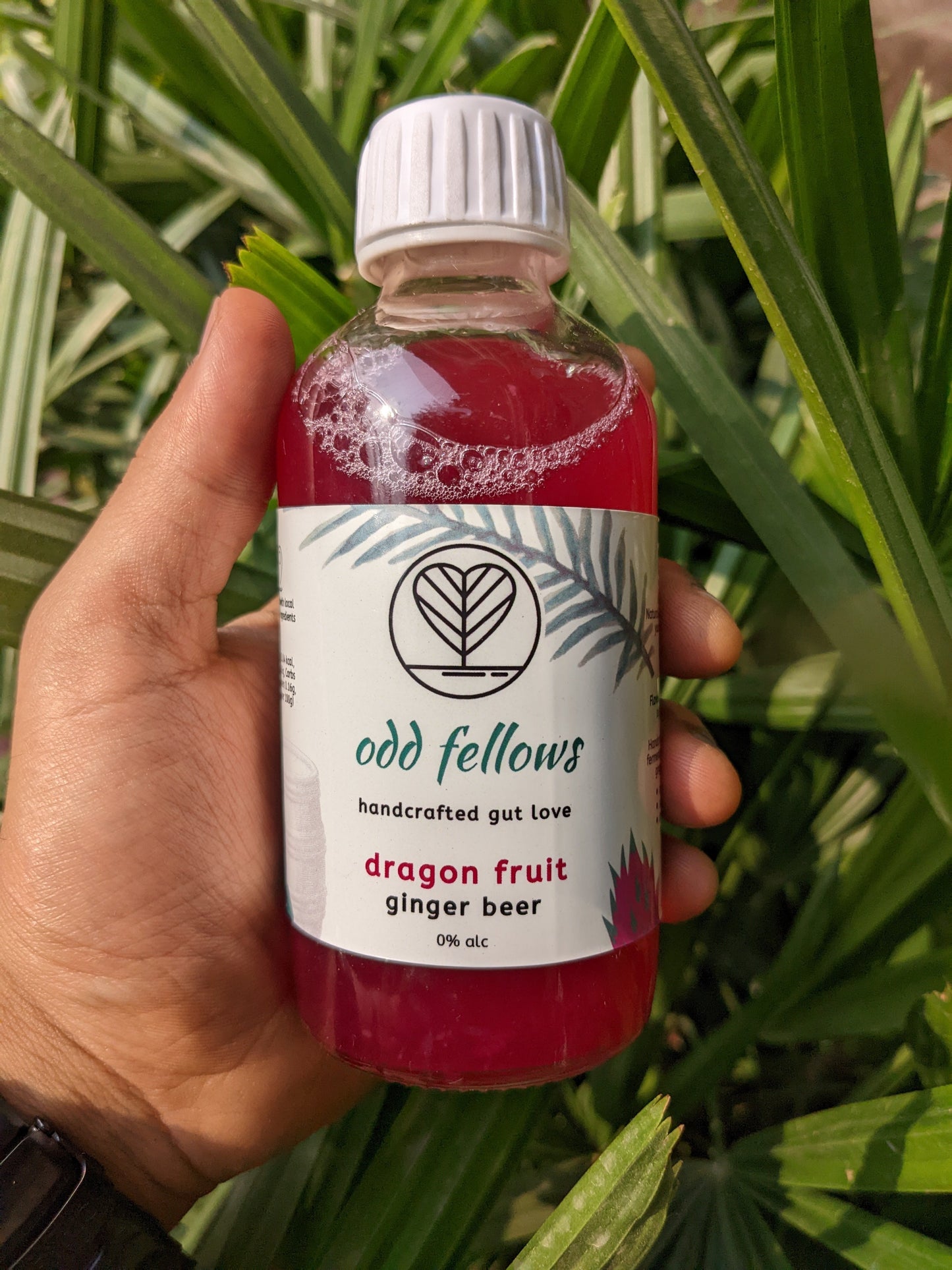 Fresh, Natural, Dragon Fruit Love