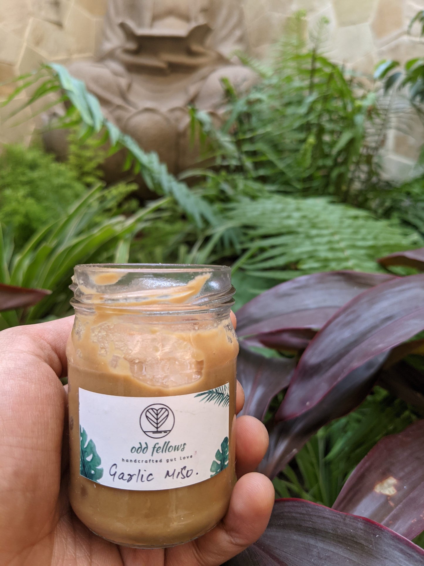 Garlic Miso Paste